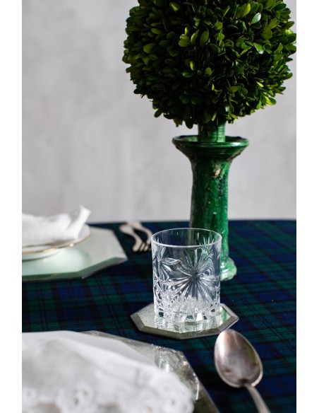 Octo Coaster in Mirror