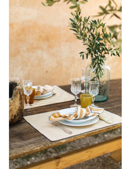 Placemat in Stain Resistant Cotton Filo
