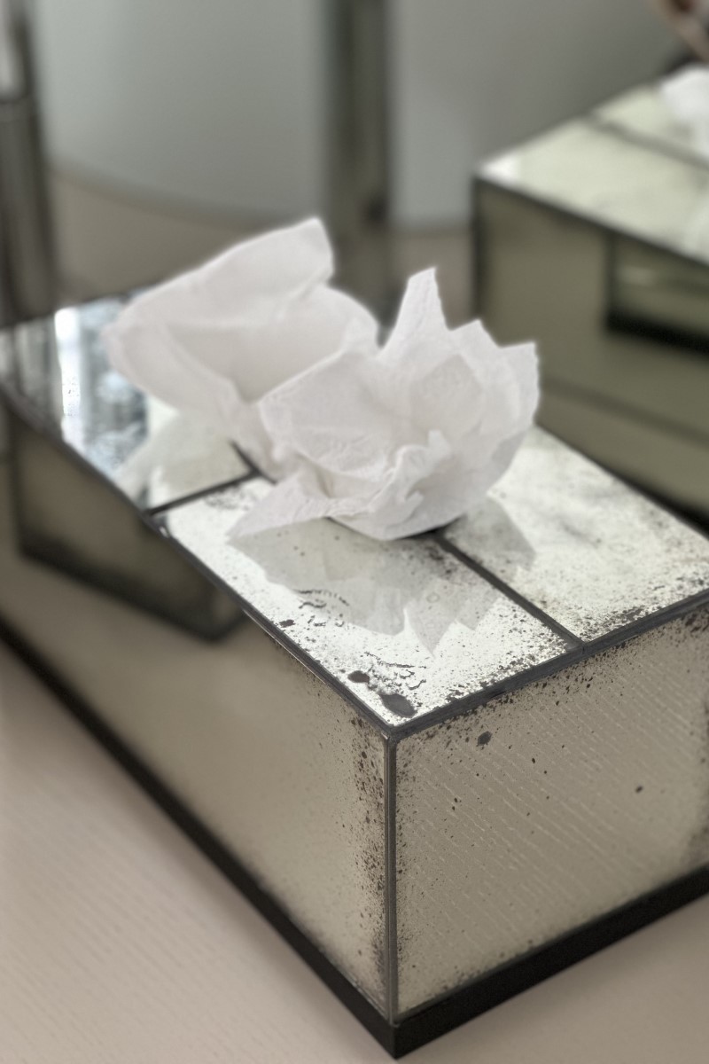 Boîte à mouchoirs