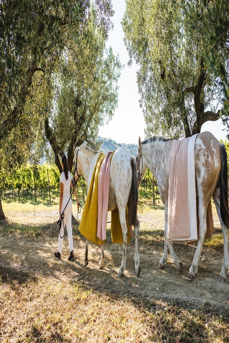 Couvre-lit réversible Pure, lin