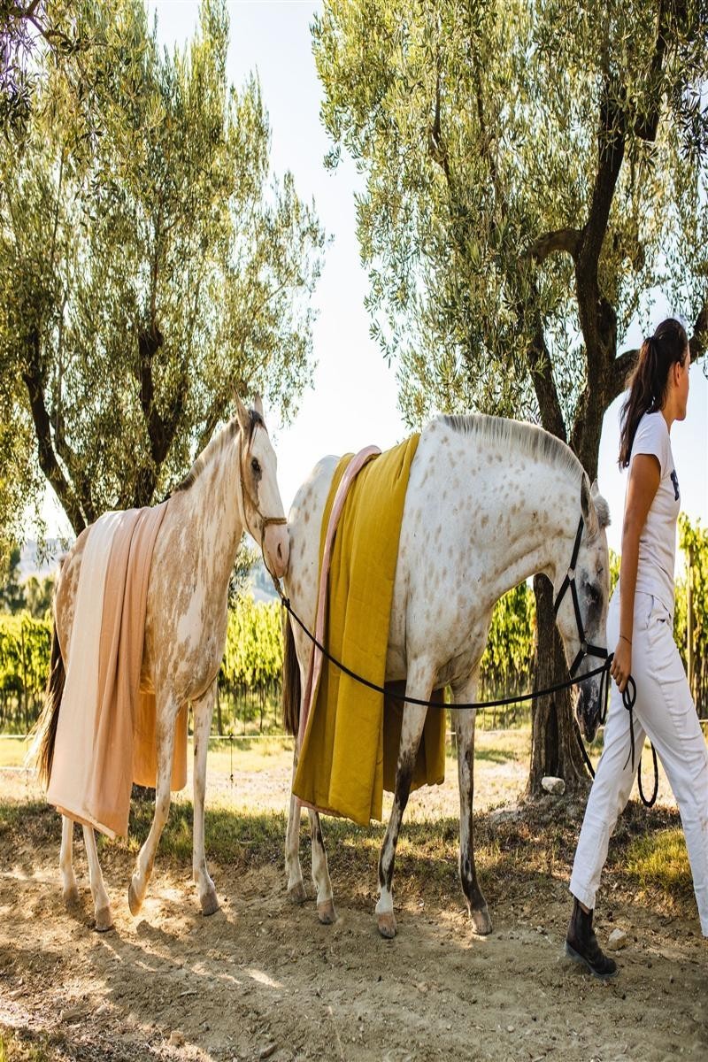 Pure Reversible Bedspread in Linen