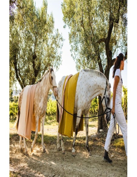 Pure Reversible Bedspread in Linen