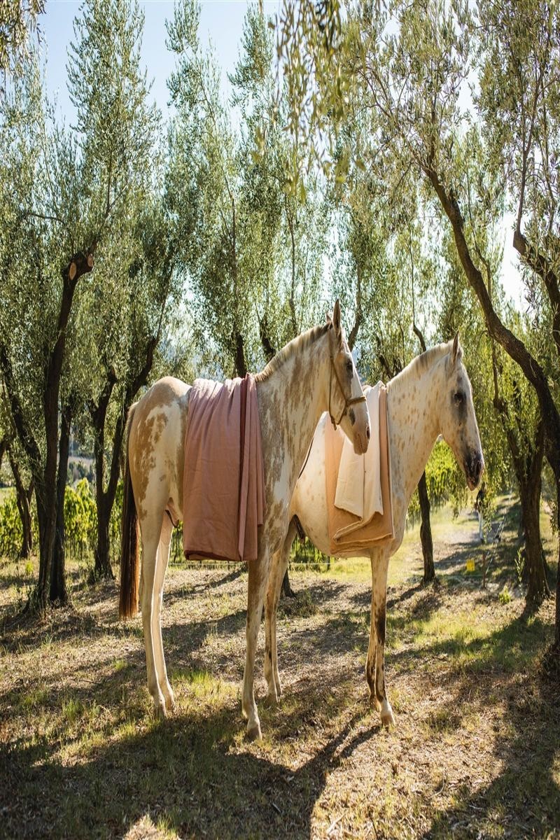 Pure Reversible Bedspread in Linen