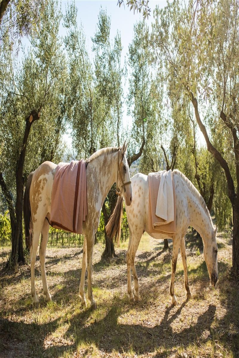 Pure Reversible Bedspread in Linen