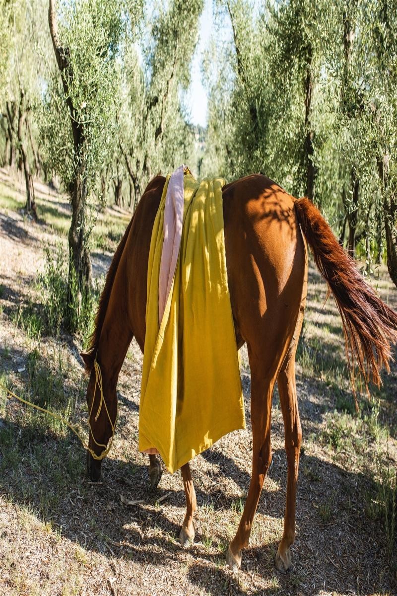 Pure Reversible Bedspread in Linen