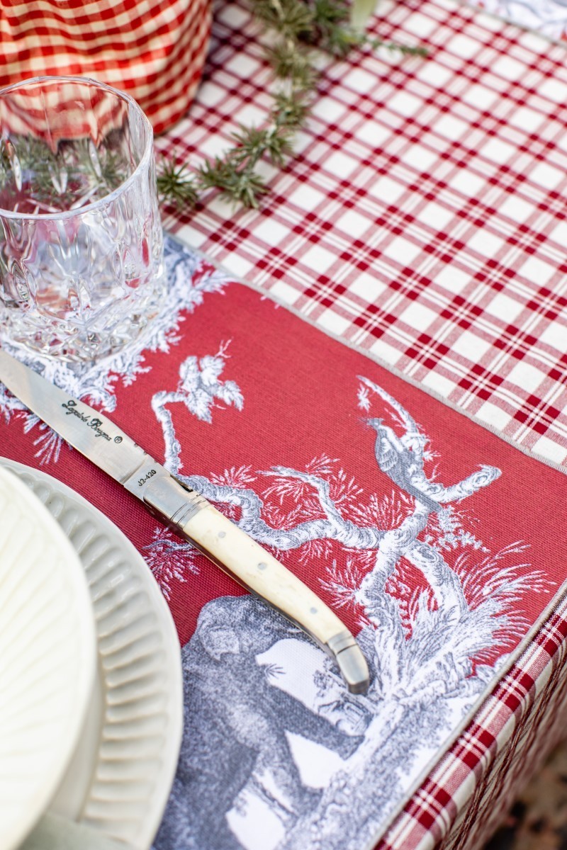 Placemat in Stain Resistant Cotton Filo