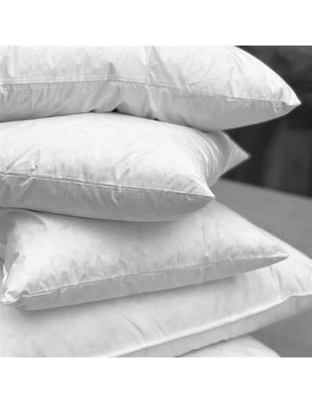 Intérieur des coussins en coton et en plumes